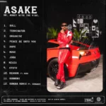 Asake - Mr Money With The Vibe (Full Album) New EP 2022